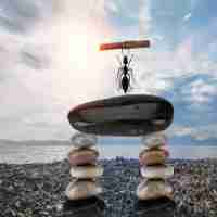 审‌计‍员‌需﻿要‌的​excel能‍力﻿